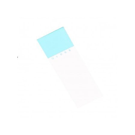 Globe Scientific Microscope Slides, Ground Edge, Safety Corner, Aqua, 1440/cs, 1440PK 195610-A